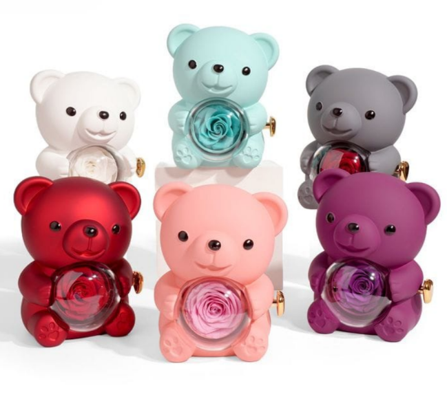 Cuddle & Bloom Teddy Bear Display Boxes