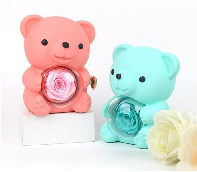 Cuddle & Bloom Teddy Bear Display Boxes