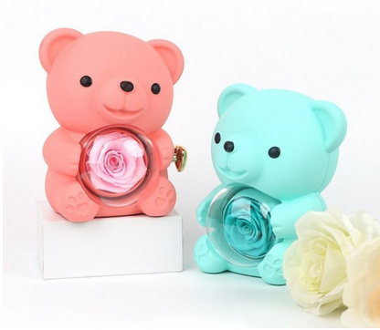 Cuddle & Bloom Teddy Bear Display Boxes