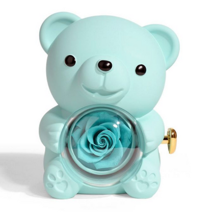 Cuddle & Bloom Teddy Bear Display Boxes