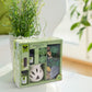 IRIS Jasmine Fragrance Gift Set