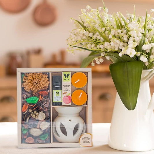 IRIS Apple Cinnamon Fragrance Gift Set